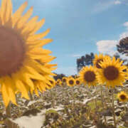 ヒメ日記 2025/08/18 12:39 投稿 えみこ 大阪ミナミ人妻援護会