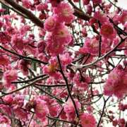 ヒメ日記 2025/03/01 11:32 投稿 えみこ 尼崎人妻援護会