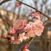 ヒメ日記 2025/03/22 16:45 投稿 えみこ 尼崎人妻援護会