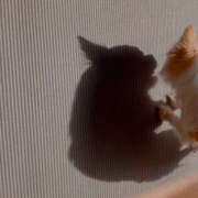 ヒメ日記 2025/03/28 09:41 投稿 えみこ 尼崎人妻援護会