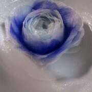 ヒメ日記 2025/06/11 17:17 投稿 えみこ 尼崎人妻援護会