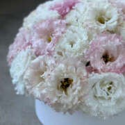 ヒメ日記 2025/06/29 11:17 投稿 えみこ 東大阪人妻援護会