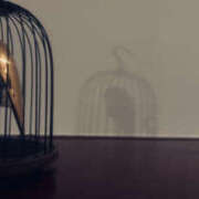 ヒメ日記 2025/08/25 17:56 投稿 えみこ 東大阪人妻援護会