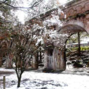 ヒメ日記 2025/01/14 11:55 投稿 前川恵美子 大阪人妻花壇