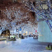 ヒメ日記 2025/12/10 17:31 投稿 前川恵美子 大阪人妻花壇