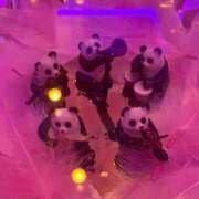 ヒメ日記 2025/03/31 03:25 投稿 ことね PHANTOM(ファントム)