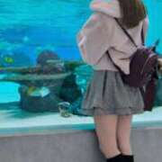 ヒメ日記 2024/12/29 23:23 投稿 みやび プレジデントオアシス