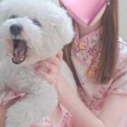 ヒメ日記 2025/01/11 23:39 投稿 みやび プレジデントオアシス