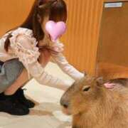 ヒメ日記 2025/03/10 23:41 投稿 みやび プレジデントオアシス