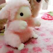 ヒメ日記 2025/04/22 08:44 投稿 みやび プレジデントオアシス