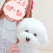 ヒメ日記 2025/06/30 00:13 投稿 みやび プレジデントオアシス