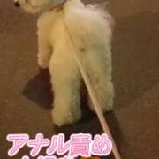 ヒメ日記 2025/07/07 22:40 投稿 みやび プレジデントオアシス