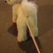 ヒメ日記 2025/09/26 22:30 投稿 みやび プレジデントオアシス