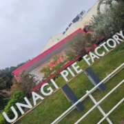 ヒメ日記 2025/10/28 16:29 投稿 みやび プレジデントオアシス