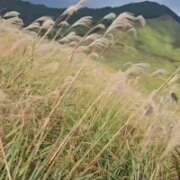 ヒメ日記 2025/10/31 00:27 投稿 みやび プレジデントオアシス