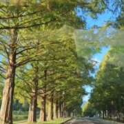 ヒメ日記 2025/11/04 18:54 投稿 みやび プレジデントオアシス