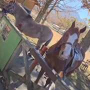 ヒメ日記 2026/01/04 11:15 投稿 みやび プレジデントオアシス