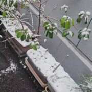 ヒメ日記 2026/02/08 11:34 投稿 みやび プレジデントオアシス