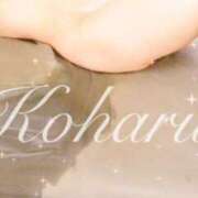 ヒメ日記 2026/02/21 10:28 投稿 小春【コハル】 クラブ　ブレンダ難波店