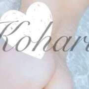 ヒメ日記 2026/03/15 10:23 投稿 小春【コハル】 クラブ　ブレンダ難波店