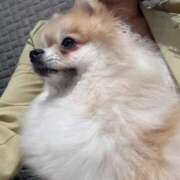 ヒメ日記 2025/10/28 08:59 投稿 ひなの 全裸SUPERプレミアム