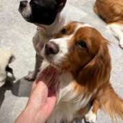 ヒメ日記 2025/11/07 11:10 投稿 ひなの 全裸SUPERプレミアム