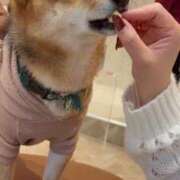 ヒメ日記 2026/03/28 12:29 投稿 ひなの 全裸SUPERプレミアム