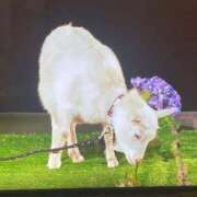 ヒメ日記 2025/03/09 11:21 投稿 まい Blue Lagoon(ブルーラグーン)