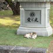 ヒメ日記 2026/05/18 00:31 投稿 まい Blue Lagoon(ブルーラグーン)