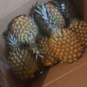 ヒメ日記 2025/05/13 21:17 投稿 みつき マリン千姫