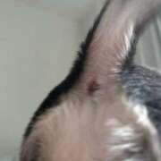 ヒメ日記 2025/07/05 18:17 投稿 みつき マリン千姫