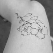 ヒメ日記 2025/07/14 00:16 投稿 みつき マリン千姫