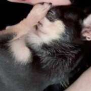 ヒメ日記 2025/10/25 16:52 投稿 みつき マリン千姫