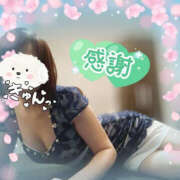 ヒメ日記 2025/04/08 12:35 投稿 和泉さち YESグループ水戸　華女