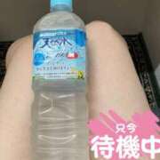 ヒメ日記 2025/08/08 12:16 投稿 ほのか モアグループ熊谷人妻花壇