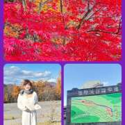 ヒメ日記 2025/11/16 09:31 投稿 泉 おふくろ