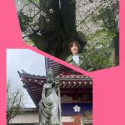 ヒメ日記 2026/04/08 11:39 投稿 泉 おふくろ