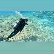 ヒメ日記 2025/08/16 22:03 投稿 詩/Uta ジュリエット