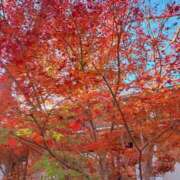 ヒメ日記 2025/12/09 08:54 投稿 水野さつき 恋する妻たち