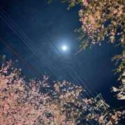 水野さつき おはよう☔️ 恋する妻たち