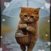 ヒメ日記 2025/04/23 17:25 投稿 あやな Welcome Cafe(ウェルカムカフェ) 八王子本店