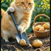 ヒメ日記 2025/09/08 17:44 投稿 あやな Welcome Cafe(ウェルカムカフェ) 八王子本店