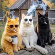 ヒメ日記 2025/11/02 15:54 投稿 あやな Welcome Cafe(ウェルカムカフェ) 八王子本店