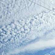 ヒメ日記 2025/11/16 17:34 投稿 あやな Welcome Cafe(ウェルカムカフェ) 八王子本店