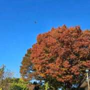 ヒメ日記 2025/11/18 16:34 投稿 あやな Welcome Cafe(ウェルカムカフェ) 八王子本店