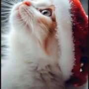 あやな ホワイトX'mas Welcome Cafe(ウェルカムカフェ) 八王子本店