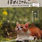 あやな 来年は褒められたい🎵 Welcome Cafe(ウェルカムカフェ) 八王子本店