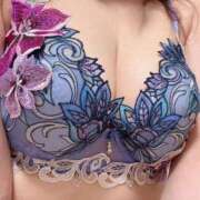 ヒメ日記 2025/04/30 18:58 投稿 響(ひびき) デザインヴィオラ東京