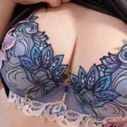 ヒメ日記 2025/08/17 05:58 投稿 響(ひびき) デザインヴィオラ東京