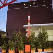 ヒメ日記 2025/12/17 14:08 投稿 響(ひびき) デザインヴィオラ東京